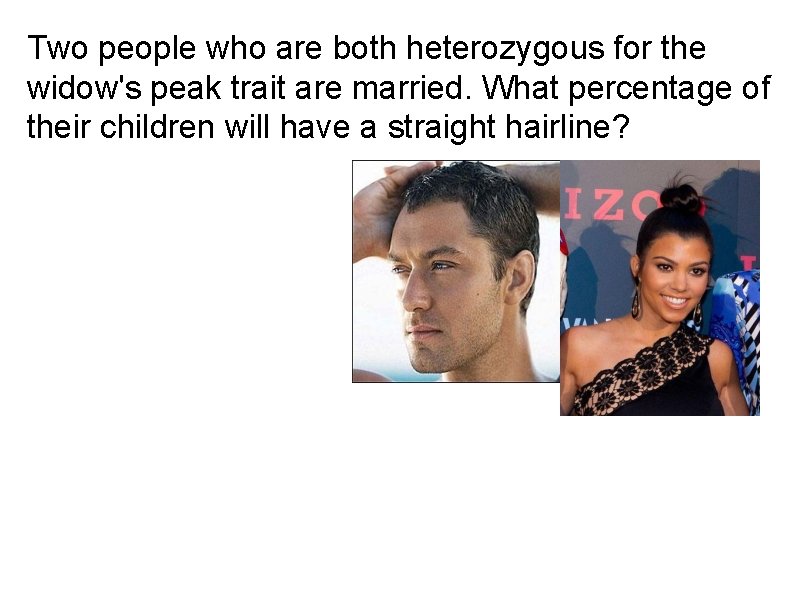 Two people who are both heterozygous for the widow's peak trait are married. What