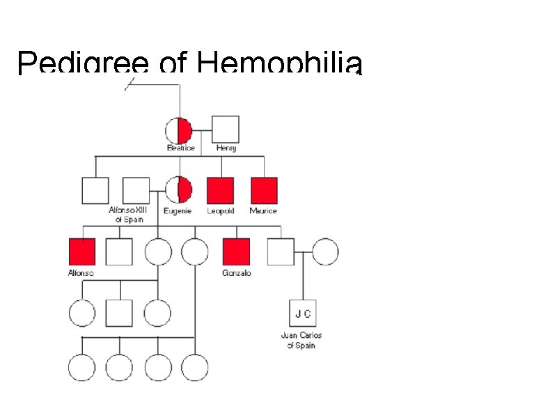 Pedigree of Hemophilia 