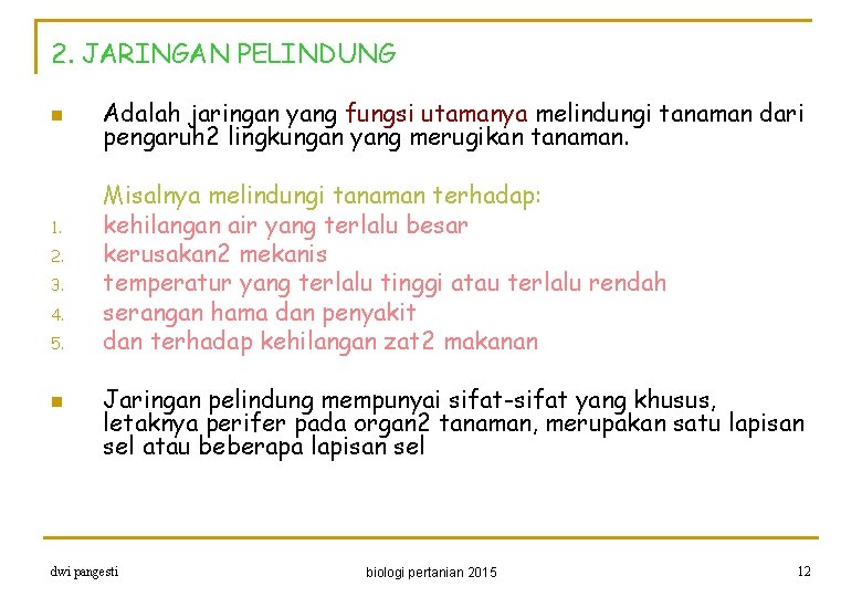 2. JARINGAN PELINDUNG n 1. 2. 3. 4. 5. n Adalah jaringan yang fungsi