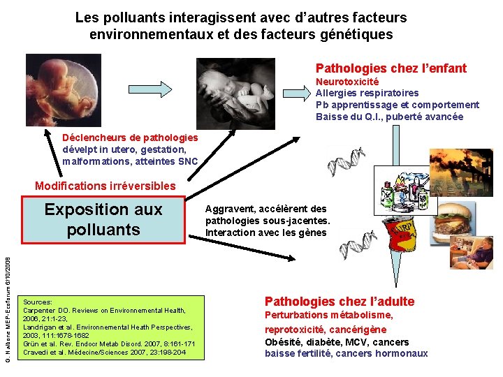Les polluants interagissent avec d’autres facteurs environnementaux et des facteurs génétiques Pathologies chez l’enfant