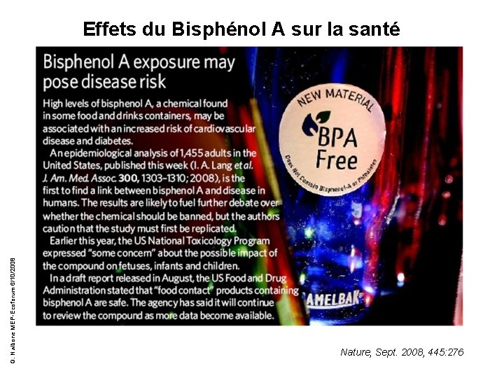 G. Nalbone MEP-Ecoforum 6/10/2008 Effets du Bisphénol A sur la santé Nature, Sept. 2008,