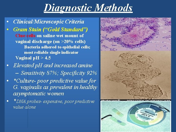 Diagnostic Methods • Clinical/Microscopic Criteria • Gram Stain (“Gold Standard”) Clue cells on saline
