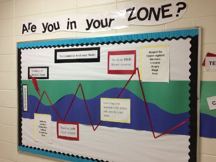 w w w. healthfederation. org 