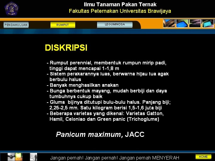 Ilmu Tanaman Pakan Ternak Fakultas Peternakan Universitas Brawijaya PENDAHULUAN RUMPUT LEGUMINOSA Panicum maximum, JACC