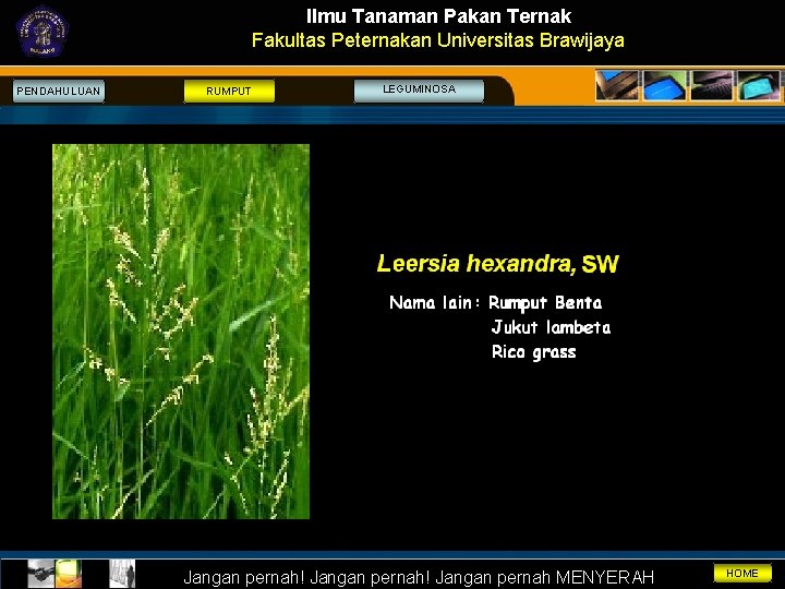 Ilmu Tanaman Pakan Ternak Fakultas Peternakan Universitas Brawijaya PENDAHULUAN RUMPUT LEGUMINOSA Jangan pernah! Jangan