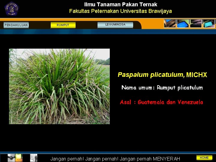 Ilmu Tanaman Pakan Ternak Fakultas Peternakan Universitas Brawijaya PENDAHULUAN RUMPUT LEGUMINOSA Jangan pernah! Jangan