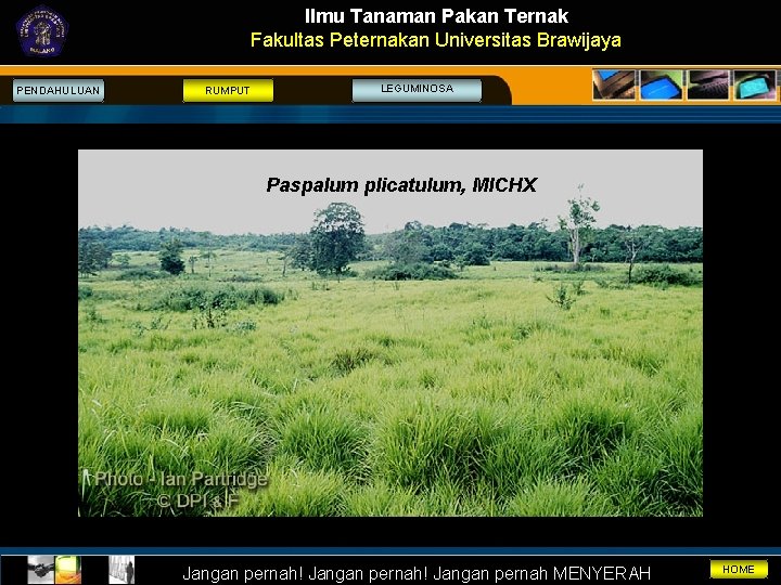 Ilmu Tanaman Pakan Ternak Fakultas Peternakan Universitas Brawijaya PENDAHULUAN RUMPUT LEGUMINOSA Paspalum plicatulum, MICHX