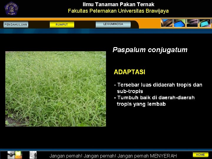 Ilmu Tanaman Pakan Ternak Fakultas Peternakan Universitas Brawijaya PENDAHULUAN RUMPUT LEGUMINOSA Paspalum conjugatum Jangan