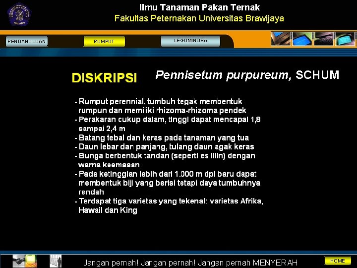 Ilmu Tanaman Pakan Ternak Fakultas Peternakan Universitas Brawijaya PENDAHULUAN RUMPUT LEGUMINOSA Pennisetum purpureum, SCHUM