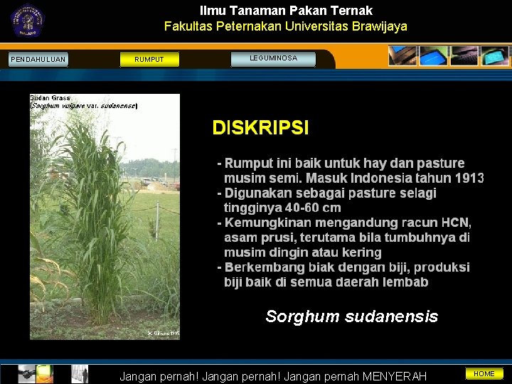 Ilmu Tanaman Pakan Ternak Fakultas Peternakan Universitas Brawijaya PENDAHULUAN RUMPUT LEGUMINOSA Sorghum sudanensis Jangan