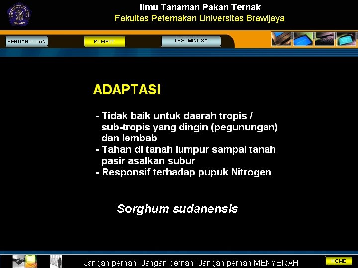 Ilmu Tanaman Pakan Ternak Fakultas Peternakan Universitas Brawijaya PENDAHULUAN RUMPUT LEGUMINOSA Sorghum sudanensis Jangan