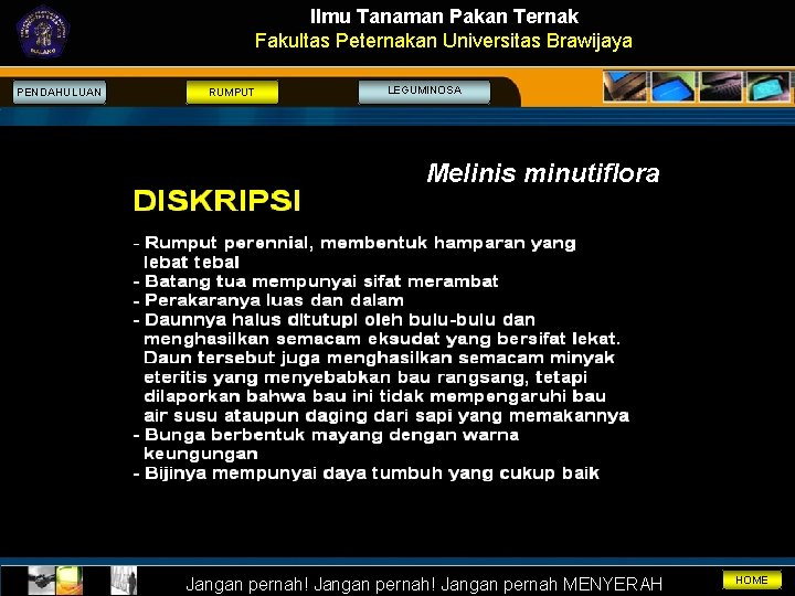 Ilmu Tanaman Pakan Ternak Fakultas Peternakan Universitas Brawijaya PENDAHULUAN RUMPUT LEGUMINOSA Melinis minutiflora Jangan