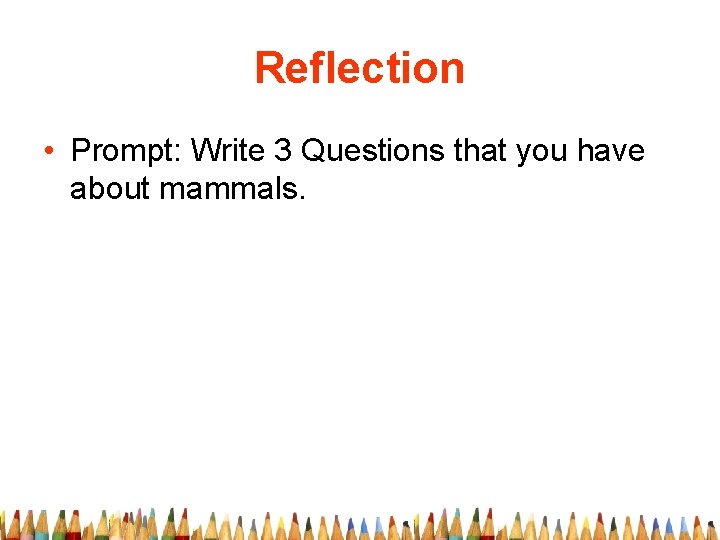 Reflection • Prompt: Write 3 Questions that you have about mammals. 