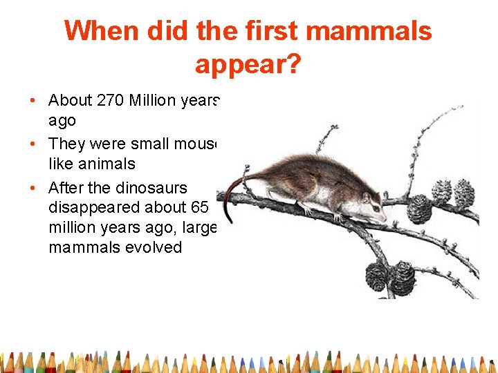 When did the first mammals appear? • About 270 Million years ago • They