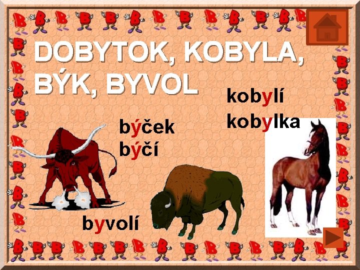 DOBYTOK, KOBYLA, BÝK, BYVOL kobylí býček býčí byvolí kobylka 