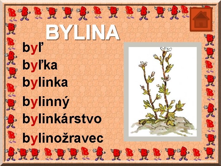 BYLINA byľka bylinný bylinkárstvo bylinožravec 