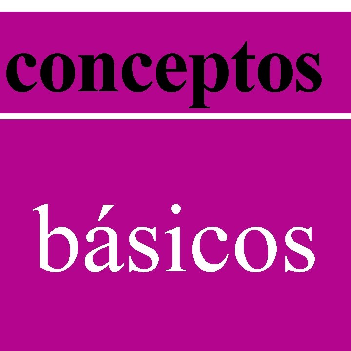 conceptos básicos 