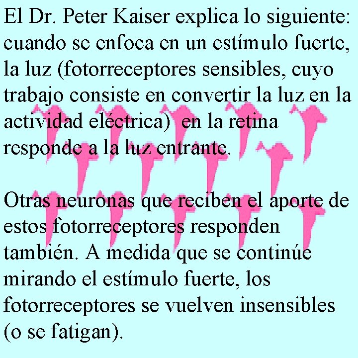 El Dr. Peter Kaiser explica lo siguiente: cuando se enfoca en un estímulo fuerte,