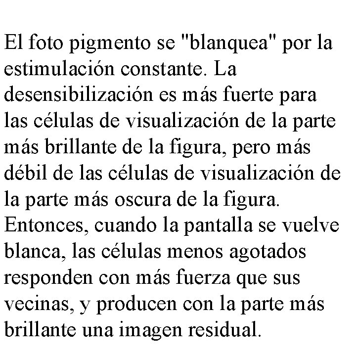 El foto pigmento se "blanquea" por la estimulación constante. La desensibilización es más fuerte