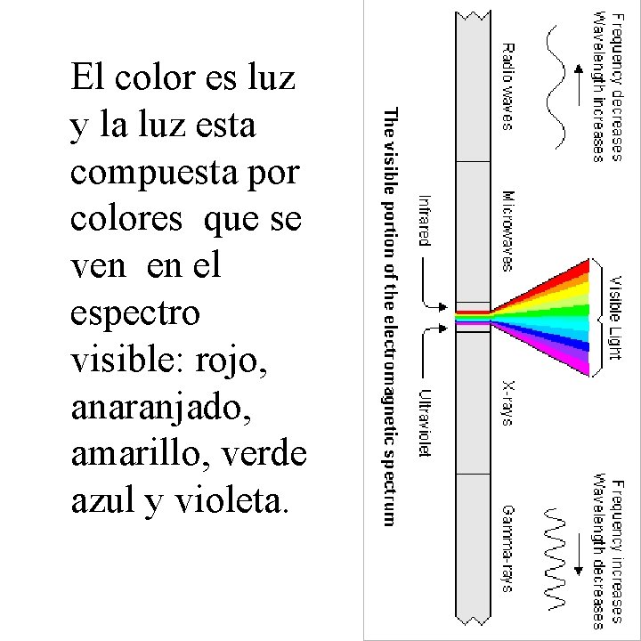 El color es luz y la luz esta compuesta por colores que se ven