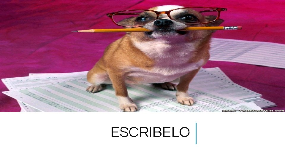 ESCRIBELO 