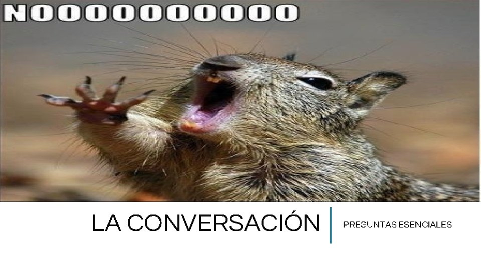 LA CONVERSACIÓN PREGUNTAS ESENCIALES 