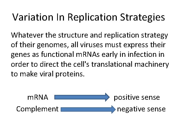 Variation In Replication Strategies Whatever the structure and replication strategy of their genomes, all Variation In Replication Strategies Whatever the structure and replication strategy of their genomes, all