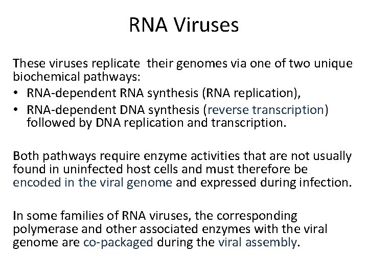 RNA Viruses These viruses replicate their genomes via one of two unique biochemical pathways: RNA Viruses These viruses replicate their genomes via one of two unique biochemical pathways: