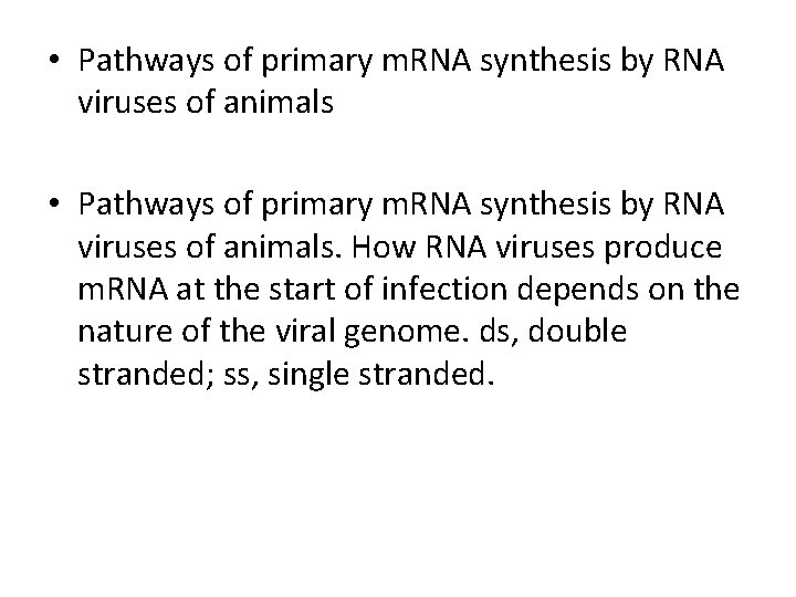 • Pathways of primary m. RNA synthesis by RNA viruses of animals. How • Pathways of primary m. RNA synthesis by RNA viruses of animals. How