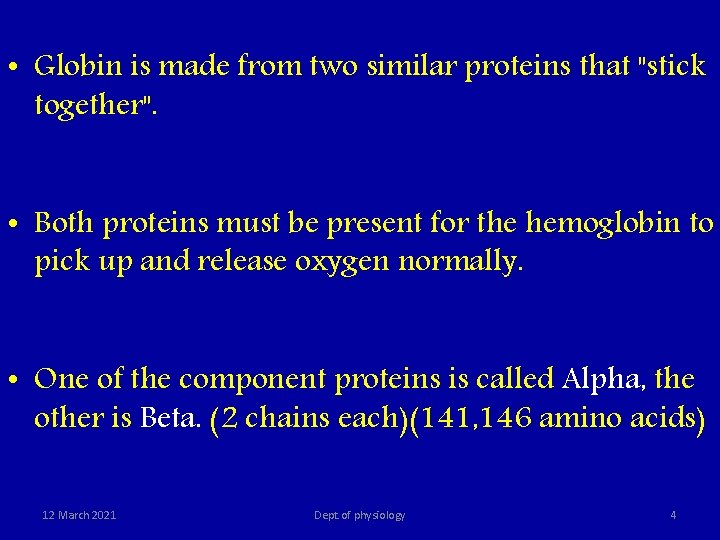  • Globin is made from two similar proteins that "stick together". • Both