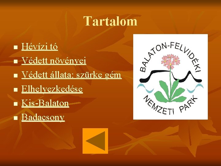 Tartalom n n n Hévízi tó Védett növényei Védett állata: szürke gém Elhelyezkedése Kis-Balaton