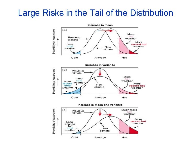 Large Risks in the Tail of the Distribution 