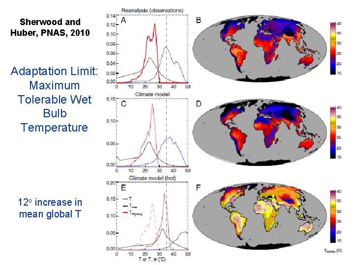 Sherwood and Huber, PNAS, 2010 Adaptation Limit: Maximum Tolerable Wet Bulb Temperature 12 o