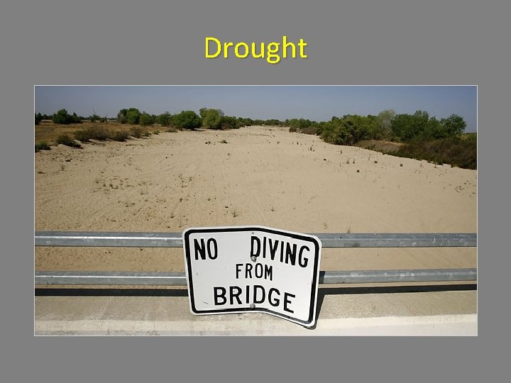 Drought 