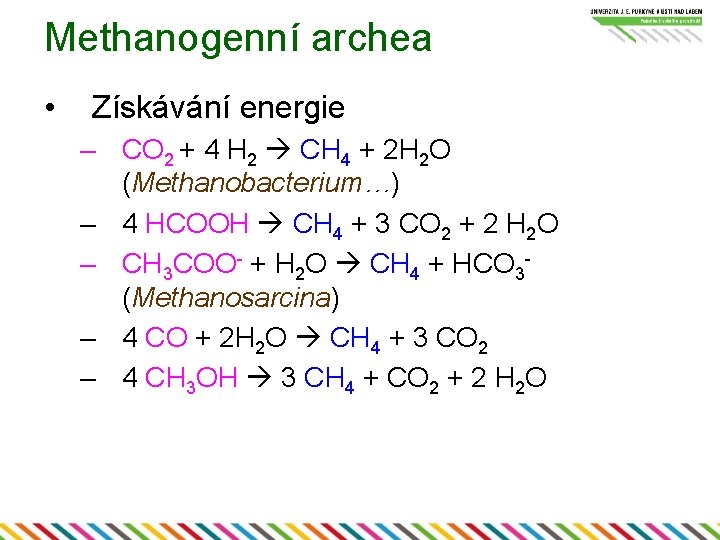 Methanogenní archea • Získávání energie – CO 2 + 4 H 2 CH 4