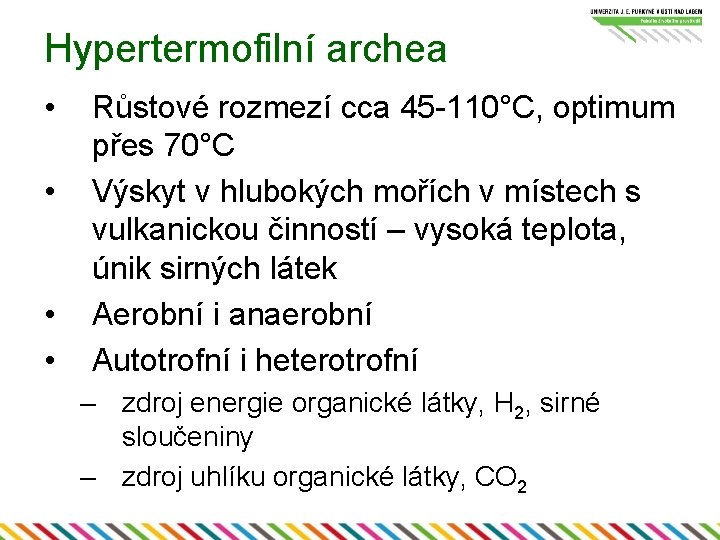 Hypertermofilní archea • • Růstové rozmezí cca 45 -110°C, optimum přes 70°C Výskyt v