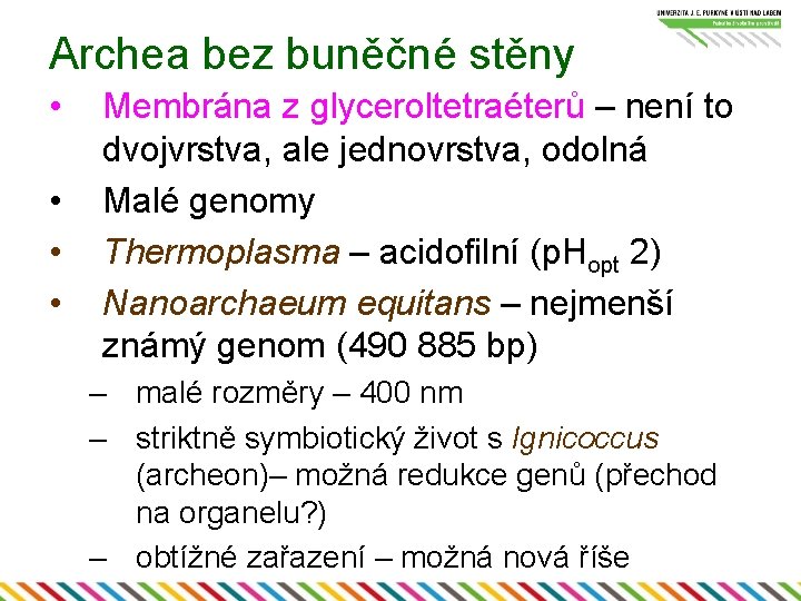 Archea bez buněčné stěny • • Membrána z glyceroltetraéterů – není to dvojvrstva, ale