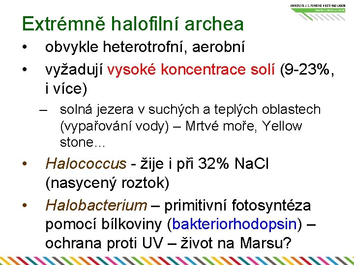 Extrémně halofilní archea • • obvykle heterotrofní, aerobní vyžadují vysoké koncentrace solí (9 -23%,