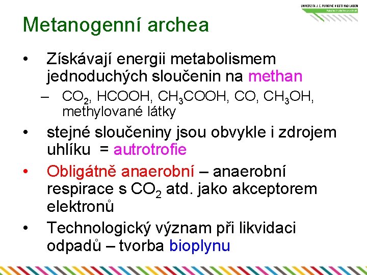 Metanogenní archea • Získávají energii metabolismem jednoduchých sloučenin na methan – CO 2, HCOOH,