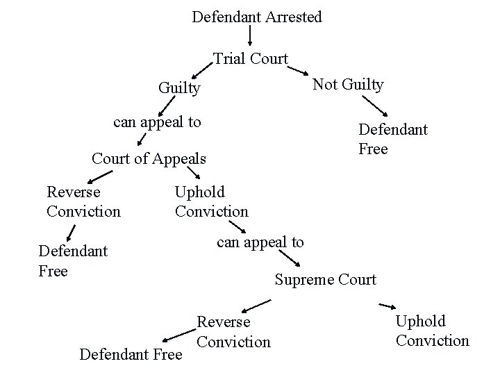 Defendant Arrested Trial Court Not Guilty can appeal to Defendant Free Court of Appeals