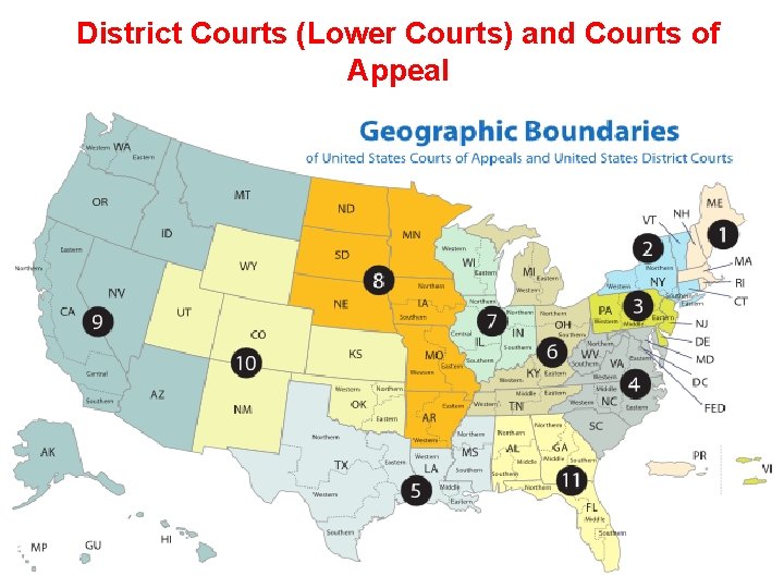 District Courts (Lower Courts) and Courts of Appeal 
