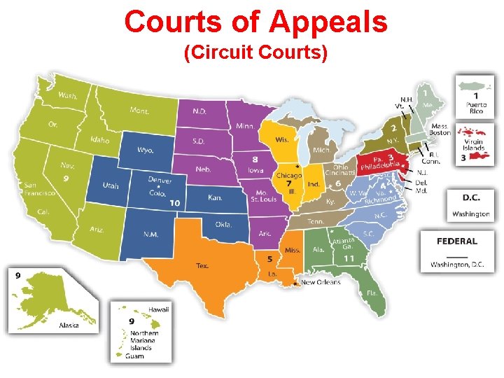 Courts of Appeals (Circuit Courts) 