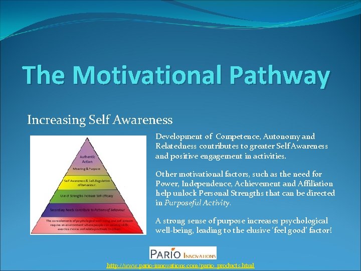 The Motivational Pathway Increasing Self Awareness Development of Competence, Autonomy and Relatedness contributes to