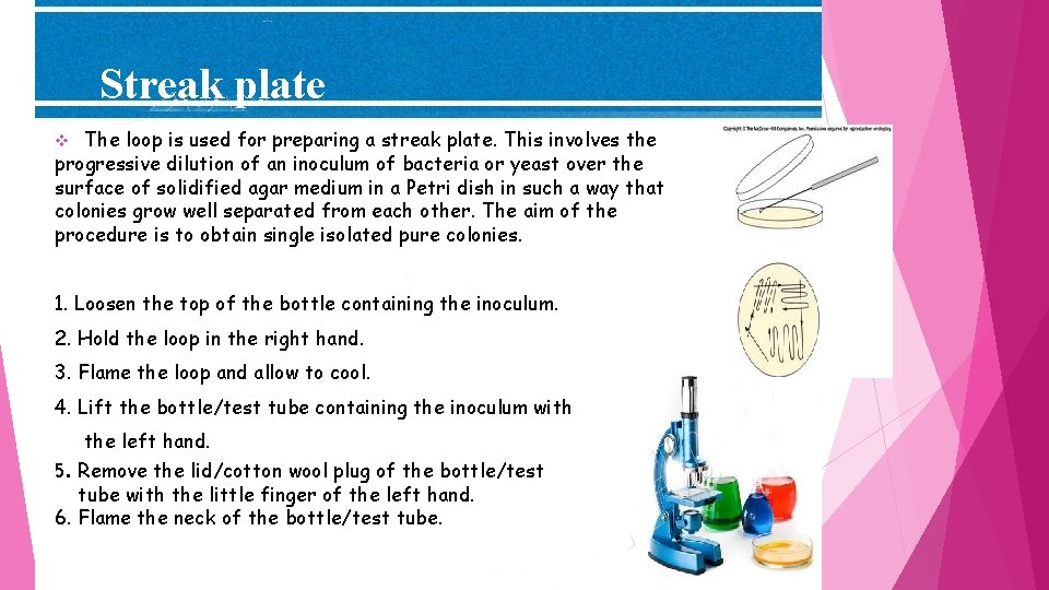 Streak plate The loop is used for preparing a streak plate. This involves the