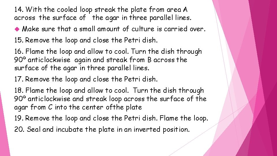 14. With the cooled loop streak the plate from area A across the surface