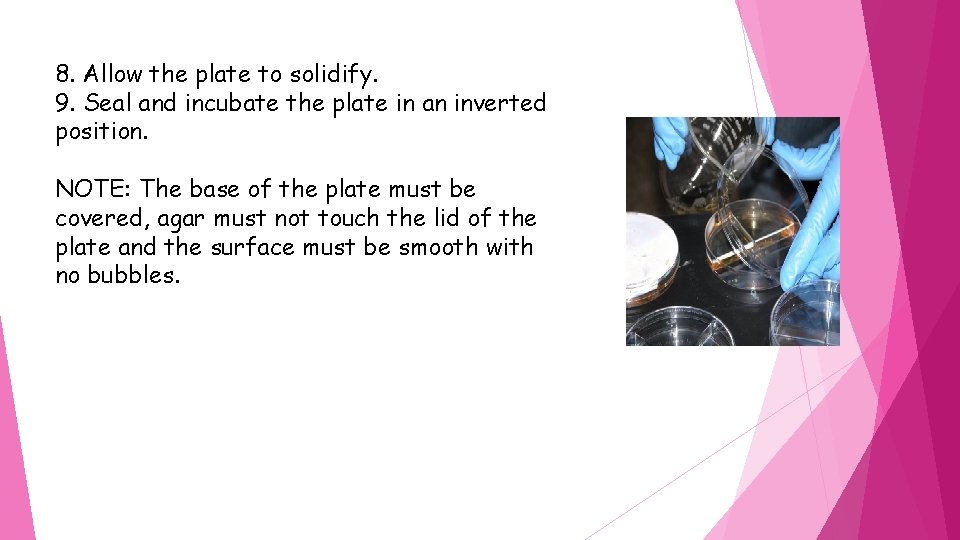 8. Allow the plate to solidify. 9. Seal and incubate the plate in an