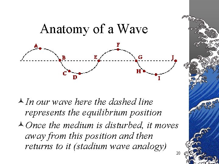 Anatomy of a Wave ©In our wave here the dashed line represents the equilibrium