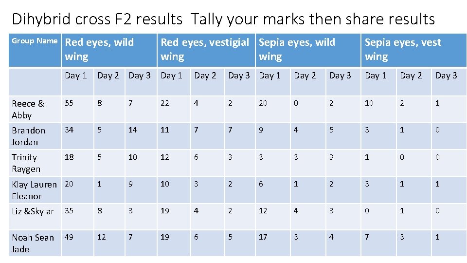 Dihybrid cross F 2 results Tally your marks then share results Red eyes, wild
