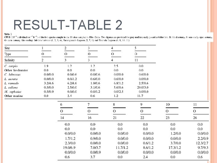 RESULT-TABLE 2 