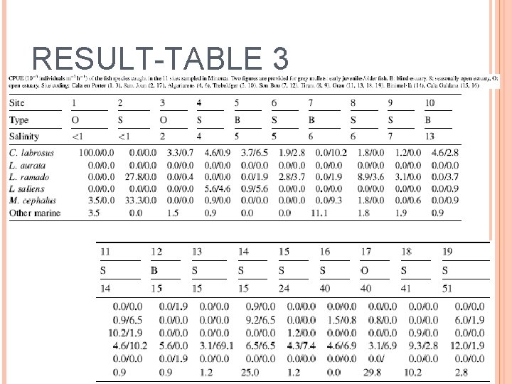 RESULT-TABLE 3 